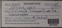 Image Associated With the Occurence